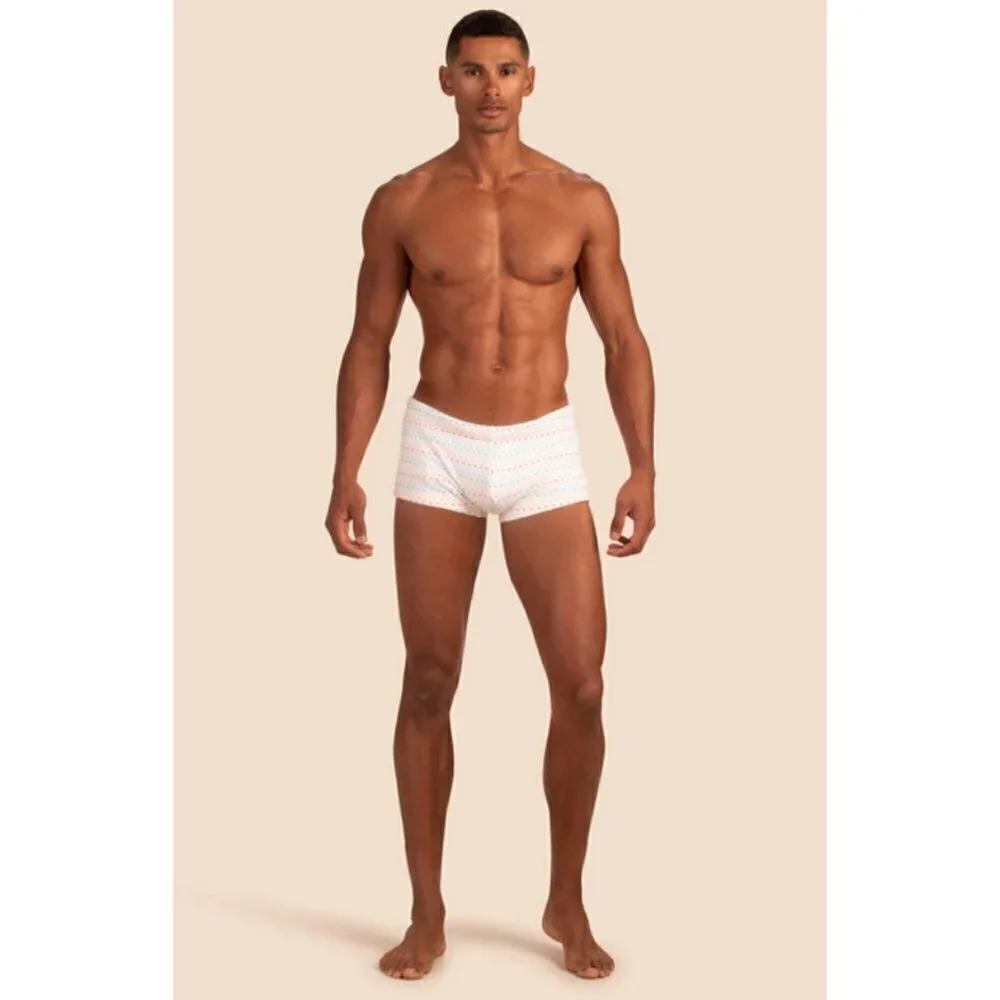 MR TURK Sorrento Swim Trunk ~ White Dotted Stripe Swim Knit Small S NWT